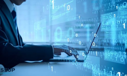 Software Development